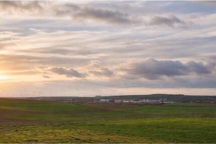 Wohnung Bechtolsheim - 2 Zimmer, 48 m&sup2;, 1.200&euro; | Angebot:25967293