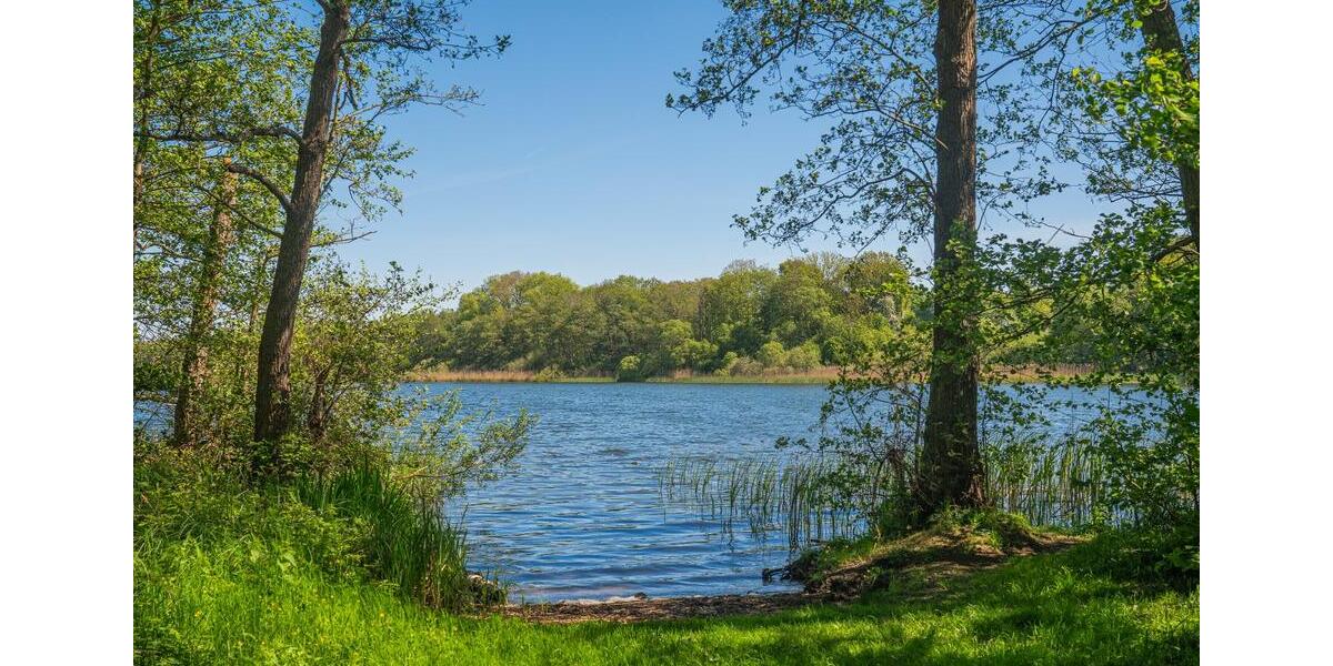 Wohnen auf Zeit Hamburg Wandsbek - 1 Zimmer, 15 m&sup2;, 750&euro; | Angebot:21009204