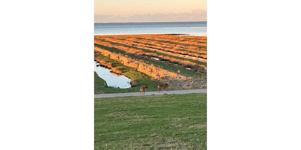 Einfamilienhaus Klanxbüll - 5 Zimmer, 135 m&sup2;, 1.750&euro; | Angebot:25393237