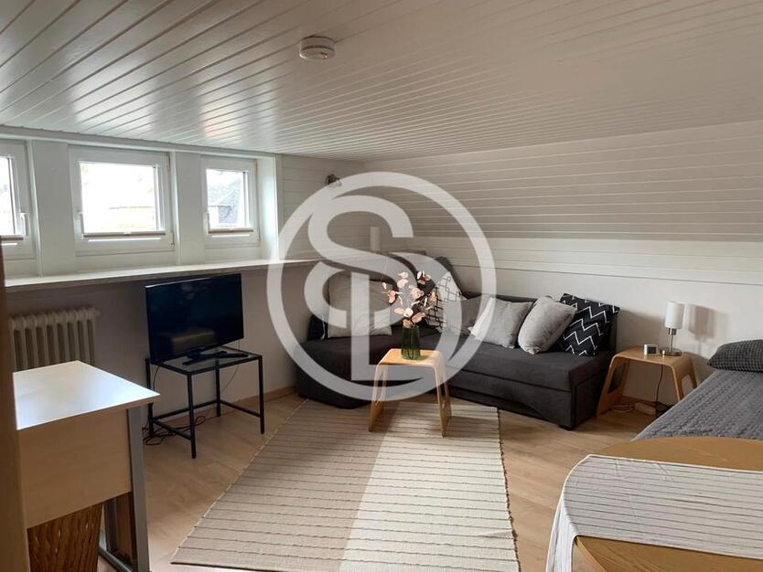 Ideal für Pendler & Studenten: Möblierte 1-Zimmer-Dachgeschoßwohnung in Hof (ca. 30 m²) mit PKW-Stellplatz