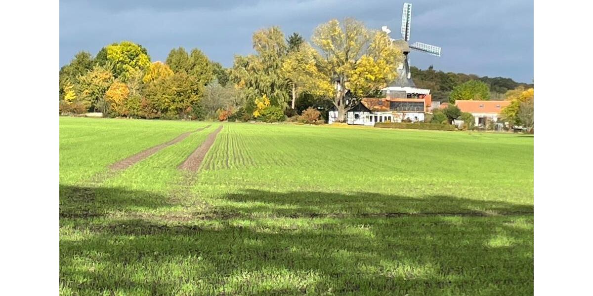 Wohnen auf Zeit Salzhausen - 3 Zimmer, 62 m&sup2;, 80&euro; | Angebot:20229914