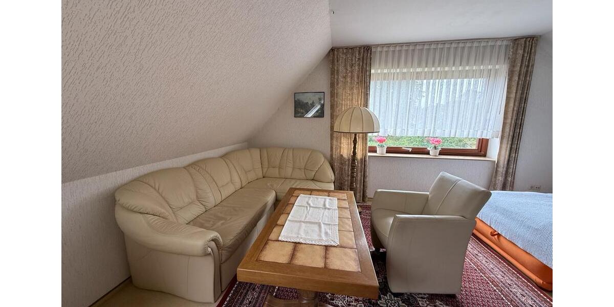 1 großes Zimmer Wohnzimmer Esszimmer Küche und Badezimmer 2 zimmer