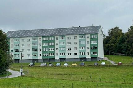 Wohnung Claußnitz - 1 Zimmer, 40 m&sup2;, 230&euro; | Angebot:8827903