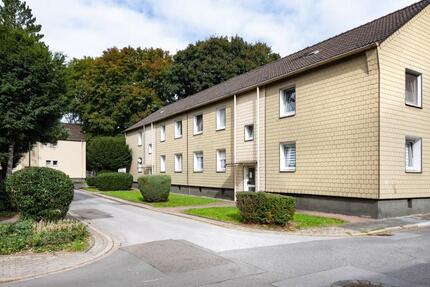 Klein, fein, charmant: Wohnglück auf 50 qm! 3 zimmer