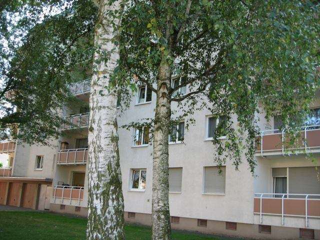 Etagenwohnung Hattersheim - 3 Zimmer, 65 m&sup2;, 640&euro; | Angebot:26104074