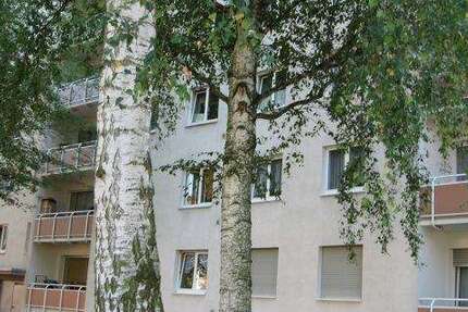 Wohnung Hattersheim - 3 Zimmer, 65 m&sup2;, 640&euro; | Angebot:26104074