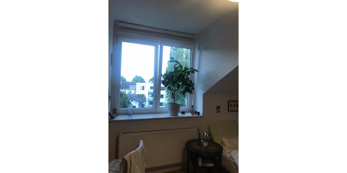 Dachgeschoßwohnung Hamburg Hamburg-Mitte - 1 Zimmer, 20 m&sup2;, 550&euro; | Angebot:25088867