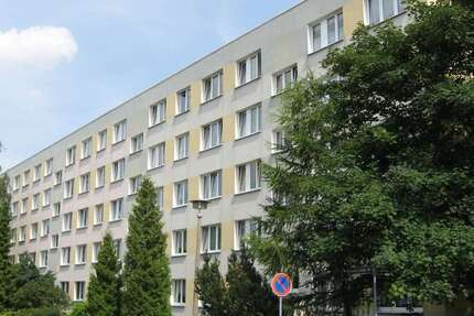 Wohnung Zeitz - 2 Zimmer, 50 m&sup2;, 268&euro; | Angebot:27291466