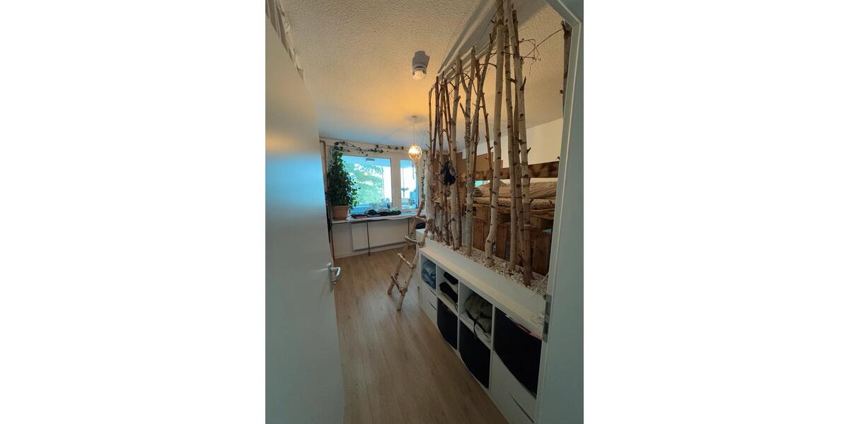 Wohnen auf Zeit Köln Lindenthal - 1 Zimmer, 50 m&sup2;, 970&euro; | Angebot:23712746