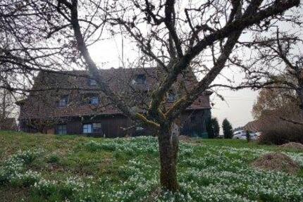 Wohnung Baiersbronn - 3.5 Zimmer, 85 m&sup2;, 725&euro; | Angebot:26032204