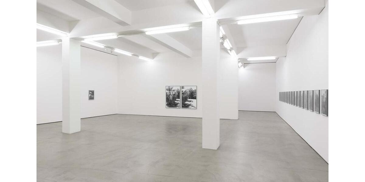 Gewerbeobjekt Düsseldorf Stadtbezirk 2 - 3.523&euro; | Angebot:25022924