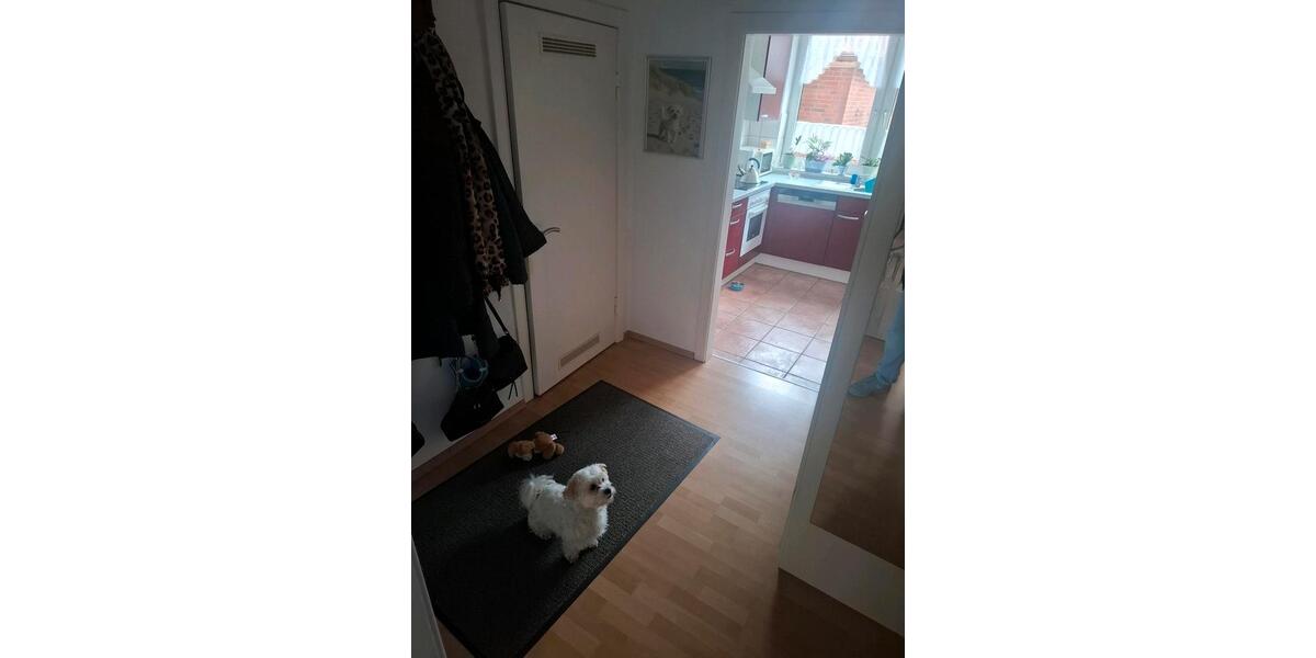 Erdgeschoßwohnung Kiel Gaarden-Ost - 2 Zimmer, 52 m&sup2;, 634&euro; | Angebot:24838903