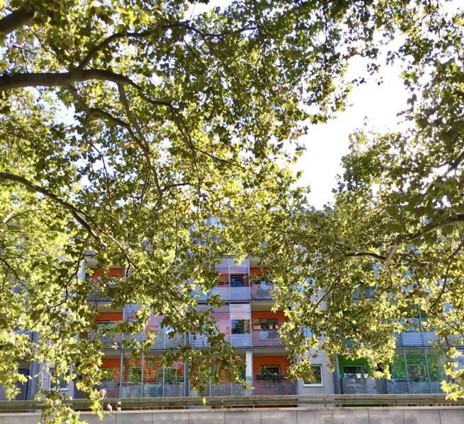 Hauptsache Hauptstraße! - Zentrumsnah in Dresden! zimmer