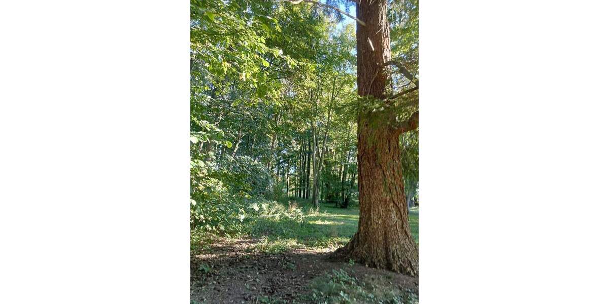 Gewerbeobjekt Ranzin Ranzin - 3 Zimmer, 2.000&euro; | Angebot:25801650