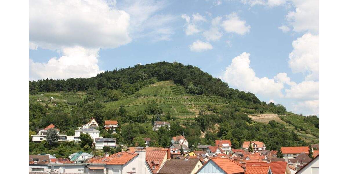 Etagenwohnung Heppenheim - 2 Zimmer, 65 m&sup2;, 850&euro; | Angebot:24636897