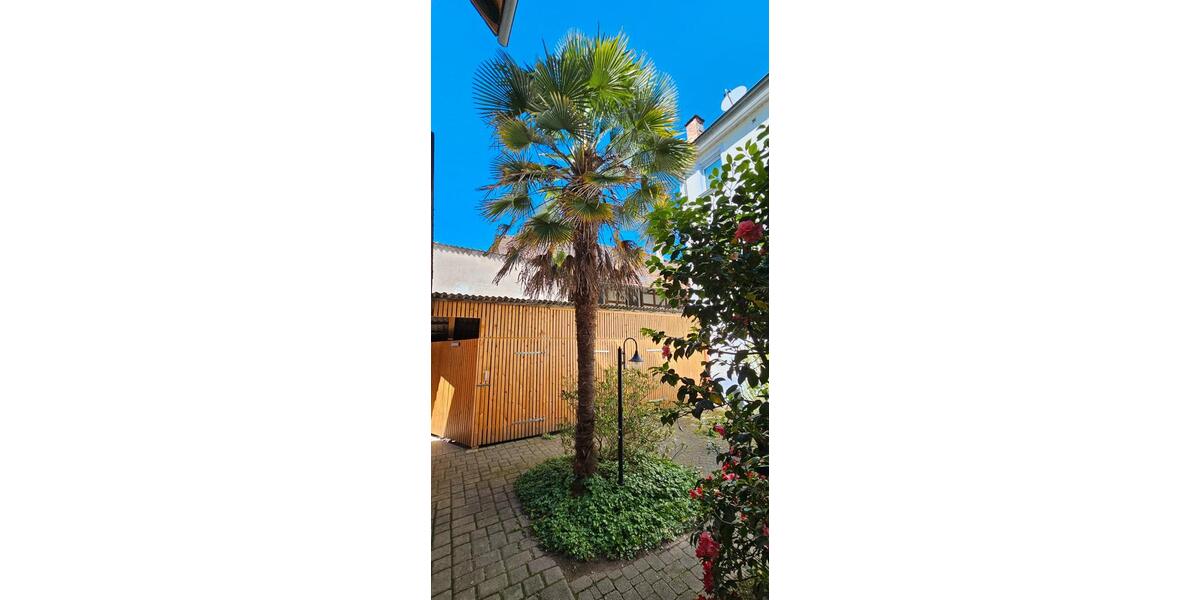 Etagenwohnung Hausach - 3 Zimmer, 101 m&sup2;, 930&euro; | Angebot:26516798