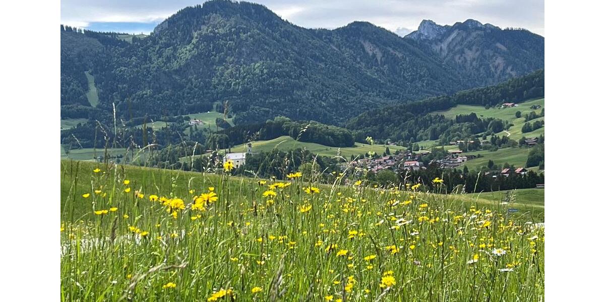 Möbliertes, ruhiges Apartment mit Balkon und traumhaftem Panorama 1 zimmer