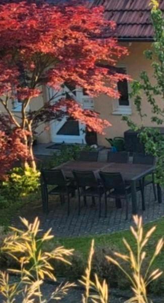 Einfamilienhaus Waldshut-Tiengen Tiengen - 5.5 Zimmer, 155 m&sup2;, 1.450&euro; | Angebot:26502570