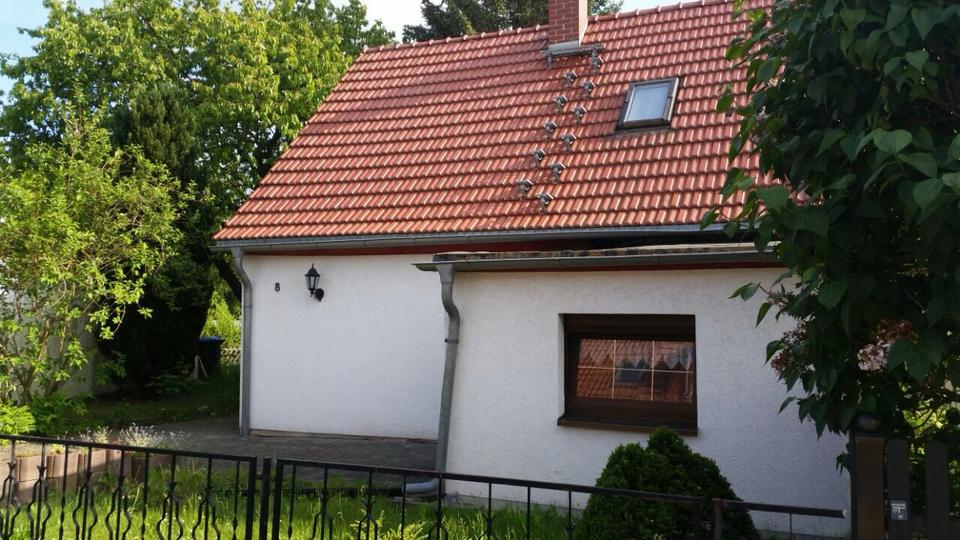Doppelhaushälfte Zwickau Auerbach - 3 Zimmer, 95 m&sup2;, 900&euro; | Angebot:26270756