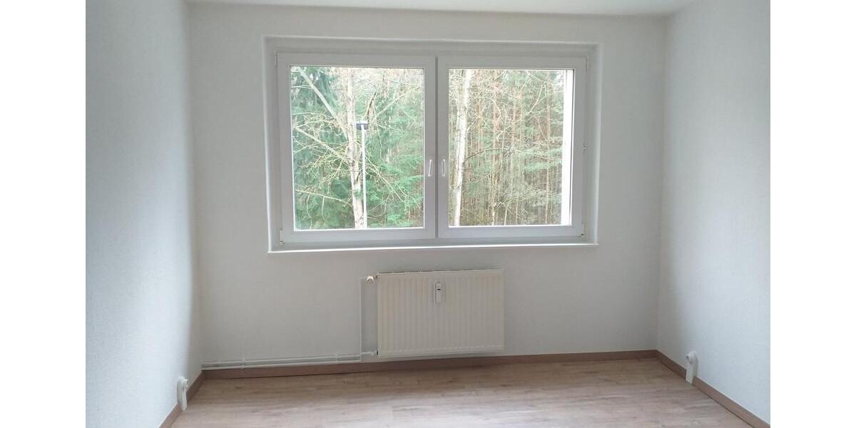 Etagenwohnung Lewitzrand - 3 Zimmer, 68 m&sup2;, 405&euro; | Angebot:12502080