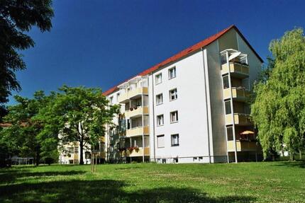 Wohnung Thale - 2.5 Zimmer, 62 m&sup2;, 418&euro; | Angebot:26480715
