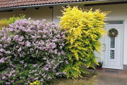 Wohnen auf Zeit Erkner - 1 Zimmer, 100 m&sup2;, 360&euro; | Angebot:25791285