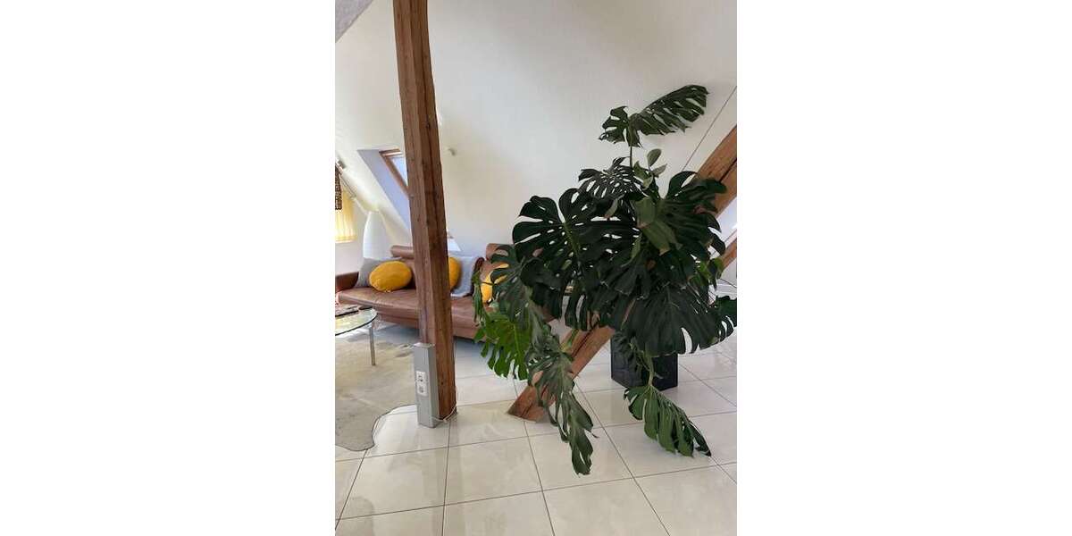 Etagenwohnung Bad Liebenzell - 2.5 Zimmer, 75 m&sup2;, 795&euro; | Angebot:26301071