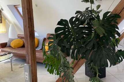 Wohnung Bad Liebenzell - 2.5 Zimmer, 75 m&sup2;, 795&euro; | Angebot:26301071