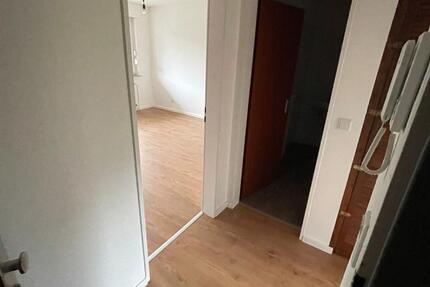 Frisch renovierte Wohnung zu vermieten 1 zimmer