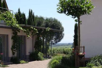 Zimmer Wachenheim an der Weinstraße - 1 Zimmer, 800&euro; | Angebot:24987912