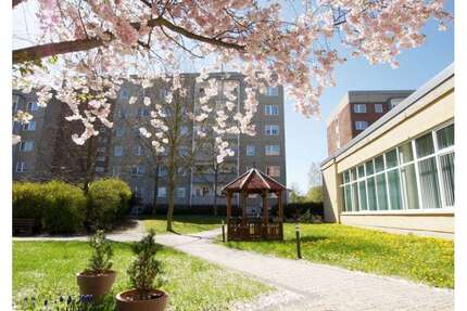 Wohnung zum Mieten in Plauen 180,58 € 34.2 m² 1 zimmer