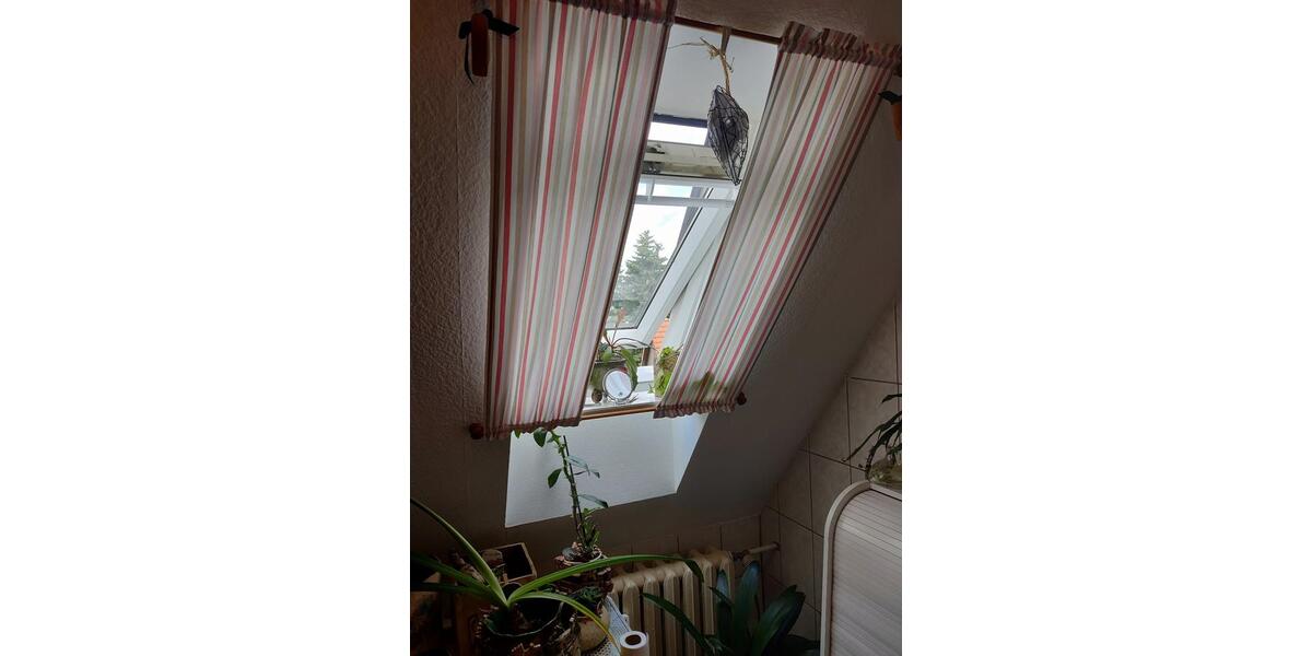Dachgeschoßwohnung Limbach-Oberfrohna Oberfrohna - 2 Zimmer, 60 m&sup2;, 360&euro; | Angebot:26058024