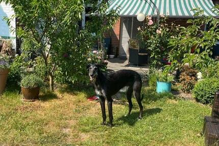 Anliegerwohnung mit WG-Charakter in Bullenkuhlen 2 zimmer