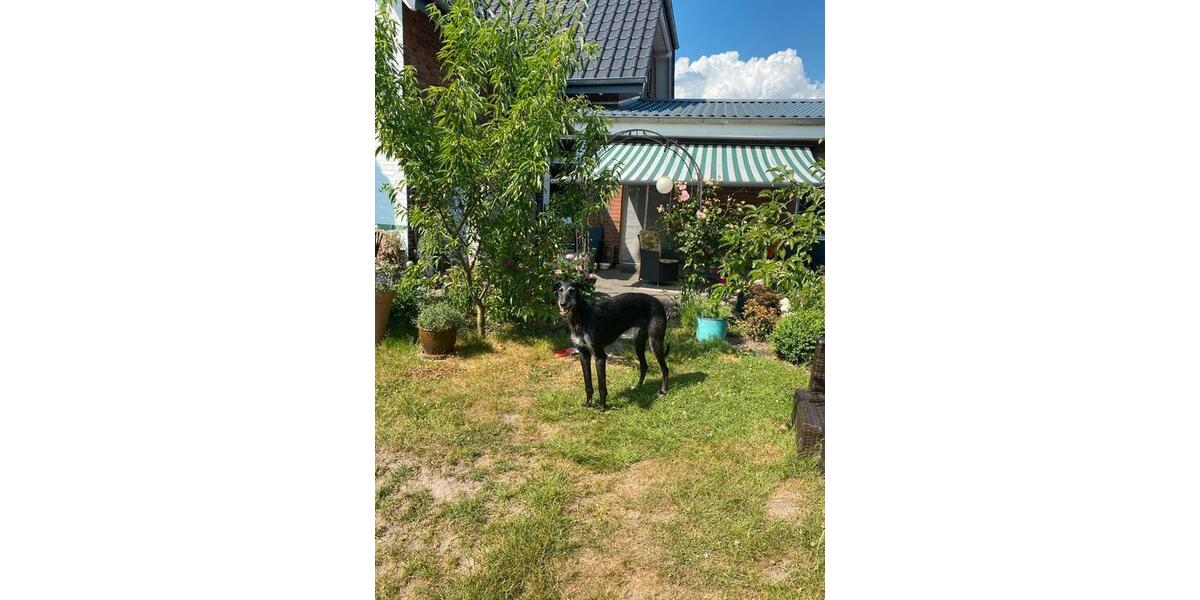 Anliegerwohnung mit WG-Charakter in Bullenkuhlen 2 zimmer