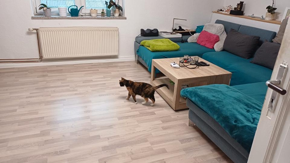 Etagenwohnung Gröningen - 5 Zimmer, 148 m&sup2;, 900&euro; | Angebot:26047050