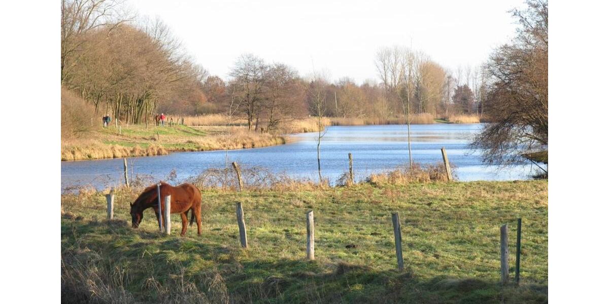 Dachgeschoßwohnung Bardowick - 2 Zimmer, 94 m&sup2;, 748&euro; | Angebot:24753022