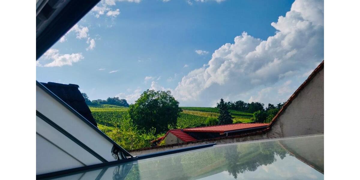 Dachgeschoßwohnung Bingen am Rhein - 2 Zimmer, 75 m&sup2;, 790&euro; | Angebot:24368815