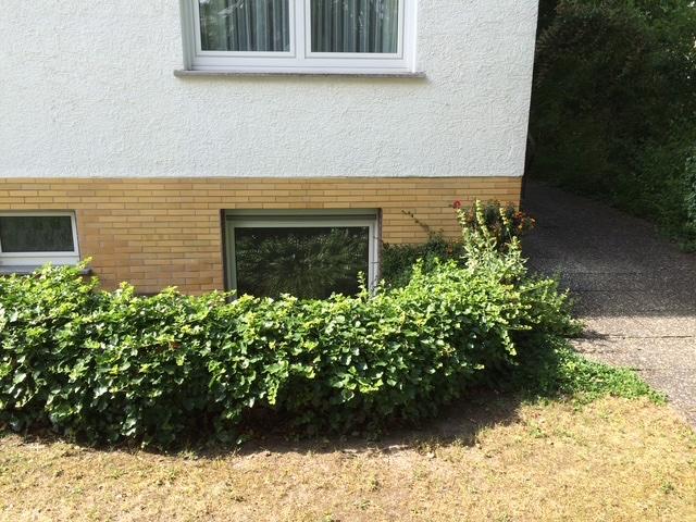 Etagenwohnung Mainz Finthen - 1 Zimmer, 17 m&sup2;, 300&euro; | Angebot:26698655