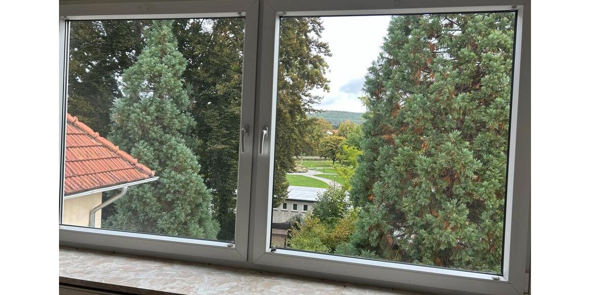 Geräumige Wohnung in zentrumsnaher Stadtvilla 4 zimmer