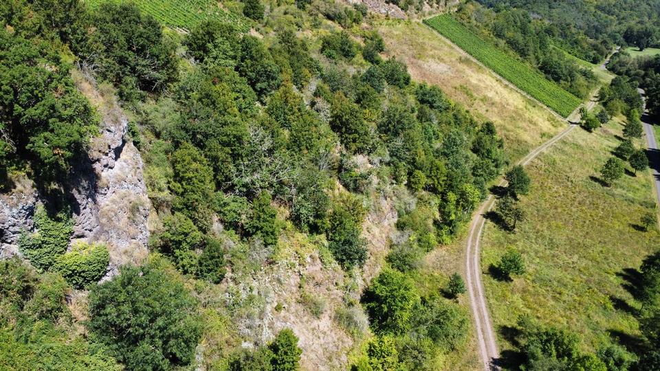 Gewerbeobjekt Hargesheim - 3.500&euro; | Angebot:17031513