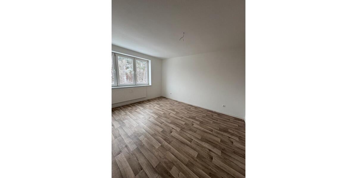 Etagenwohnung Neubrandenburg Datzeberg - 2 Zimmer, 45 m&sup2;, 300&euro; | Angebot:24618267
