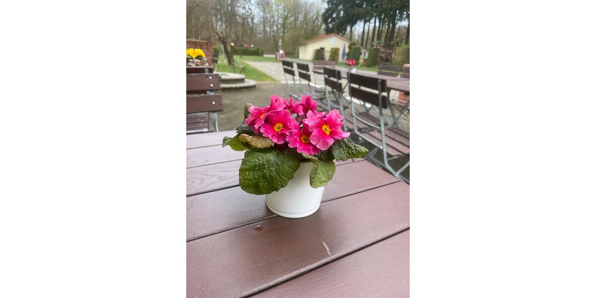 Café Ausflugslokal Gastronomie-Top-Lage am Wasser zu verpachten zimmer