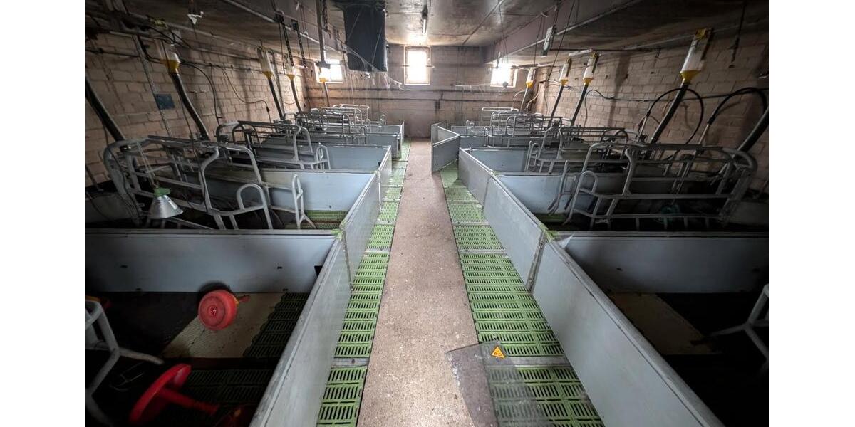 Gewerbeobjekt Jessen (Elster) - 2.800&euro; | Angebot:26460826