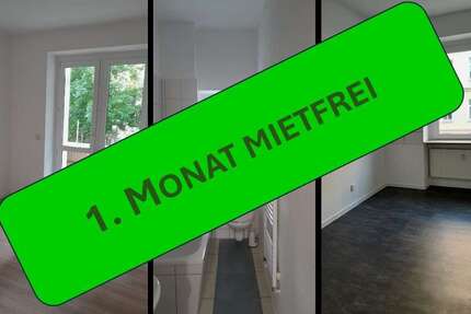 Wohnung zum Mieten in Plauen 240 € 48 m² 2 zimmer