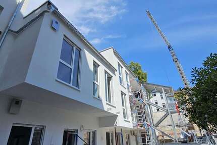 Wohnung zum Mieten in Mannheim 520 € 35 m² 2 zimmer