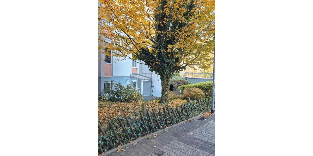 Wohnen auf Zeit Mainz - 1 Zimmer, 18 m&sup2;, 800&euro; | Angebot:26607703