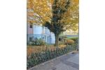 Wohnen auf Zeit Mainz - 1 Zimmer, 18 m&sup2;, 800&euro; | Angebot:26607703