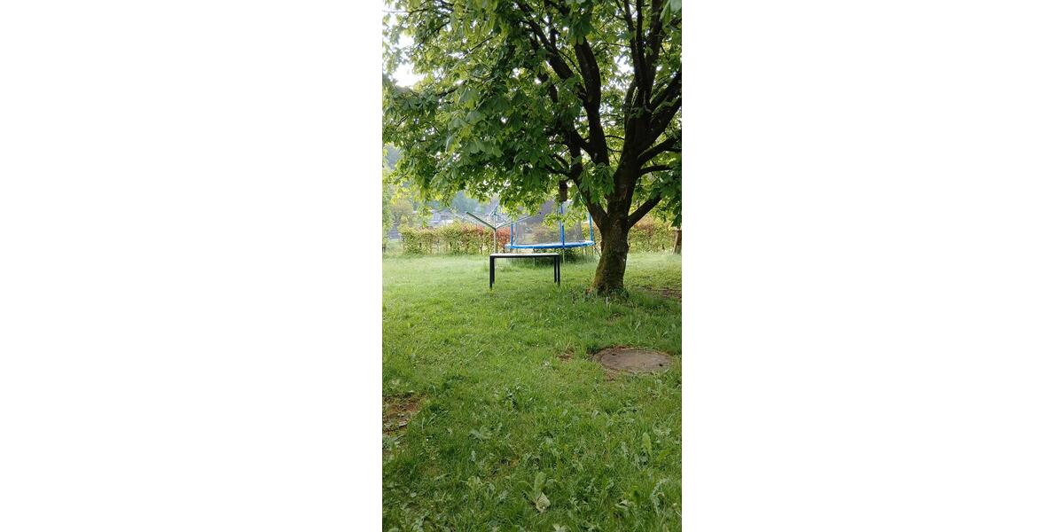 Erdgeschoßwohnung Bad Berleburg - 1 Zimmer, 30 m&sup2;, 250&euro; | Angebot:26698757