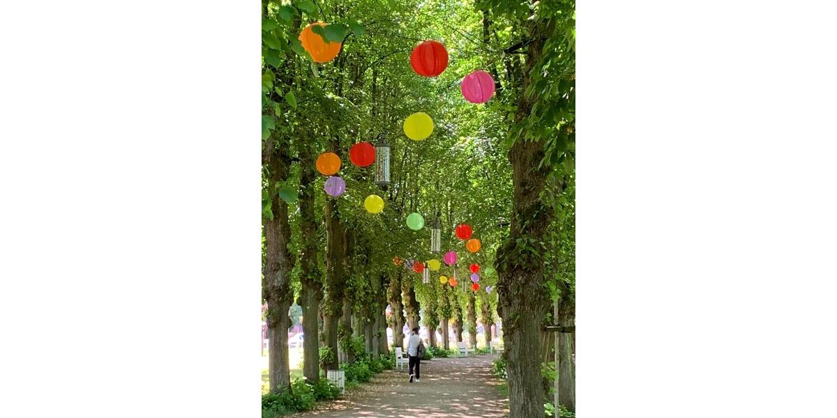 Dachgeschoßwohnung Bad Doberan - 2 Zimmer, 84 m&sup2;, 1.234&euro; | Angebot:25870752