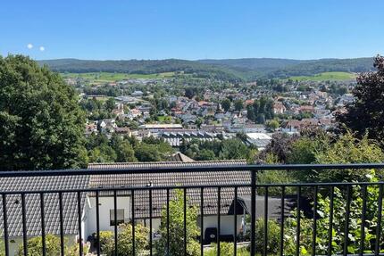 2-Zimmer Panorama-Apartment Erbach Bestlage 2 zimmer